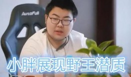 小胖直播间爆料刘磊视频,刘磊视频背后的惊人真相