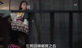 印度小姐姐爆料视频大全,揭秘真实生活瞬间