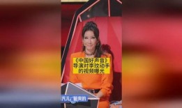 好声音导演爆料视频播放,幕后故事与精彩瞬间